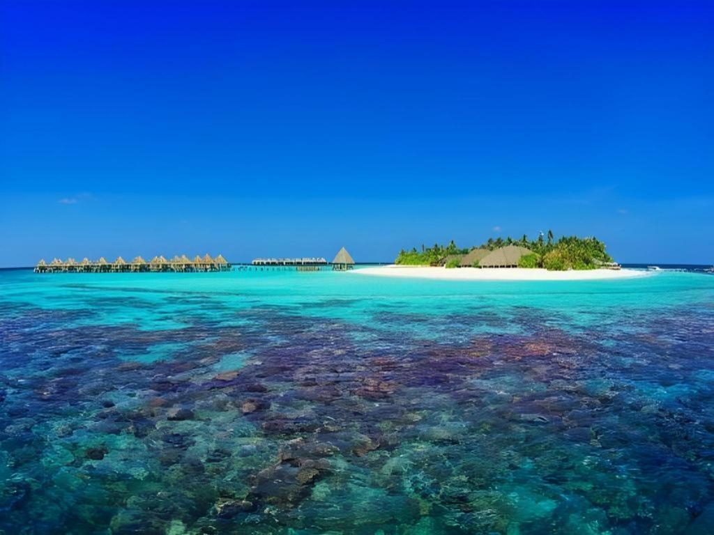 Angaga Island Resort And Spa Exterior foto